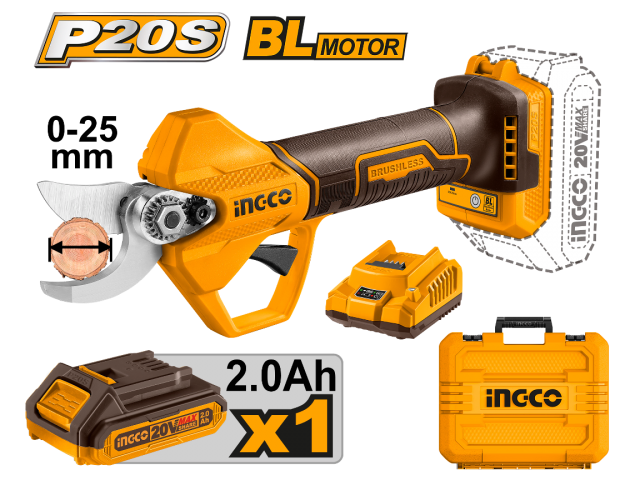 CSSLI202581_2025_07_03